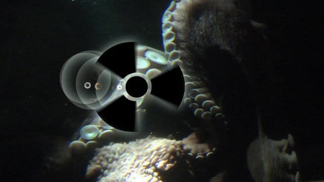 vimeo placeholder image