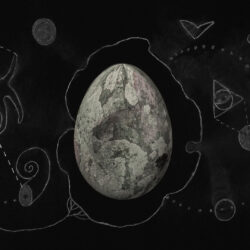 The Mind’s Egg